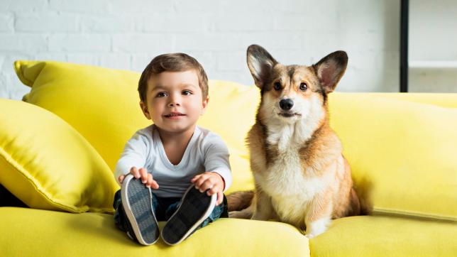 parasitosis-zoonoticas-digestiva